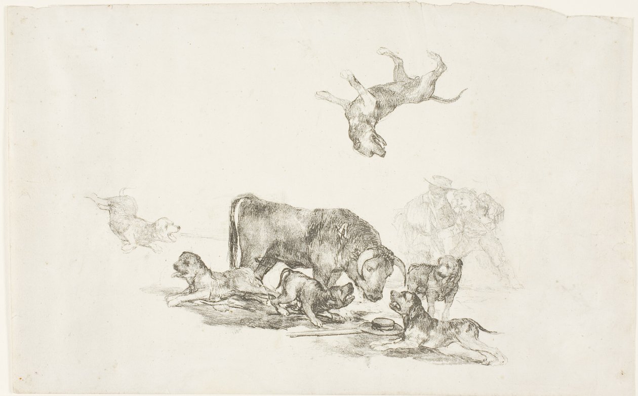 Stier Aangevallen door Honden door Francisco Jose de Goya y Lucientes