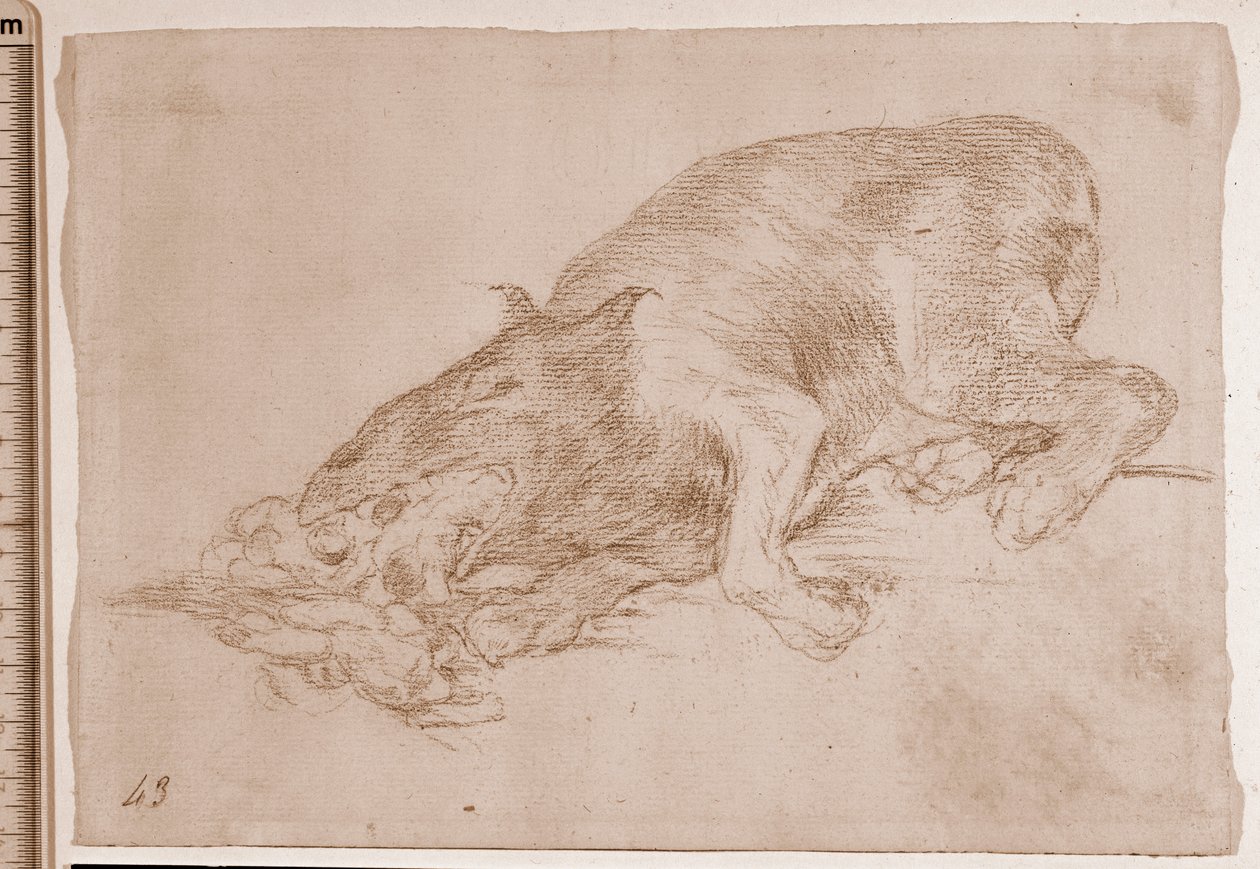 De rampen van de oorlog: Trots monster! (voorbereidende tekening) door Francisco de Goya