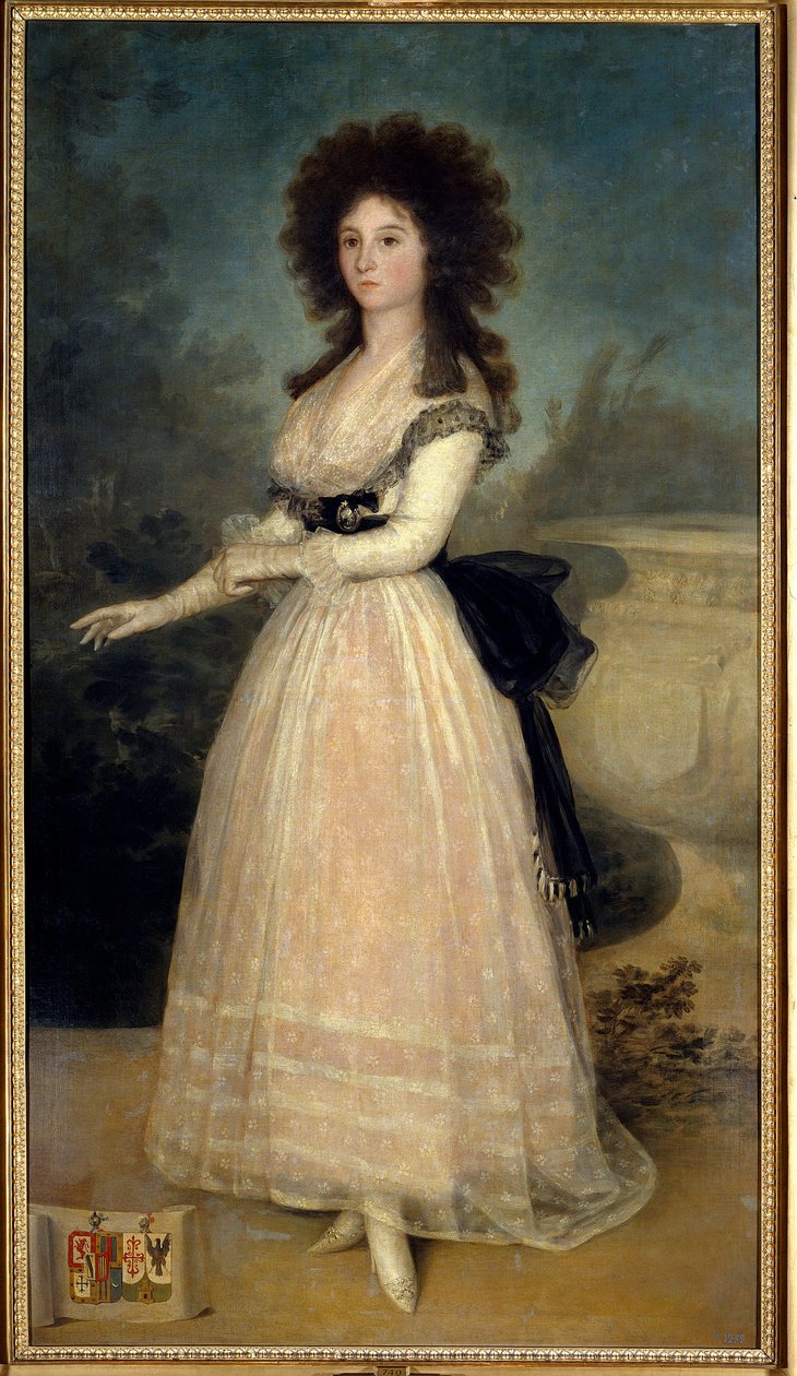 Portret van Dona Tadea Arias de Enriquez door Francisco de Goya