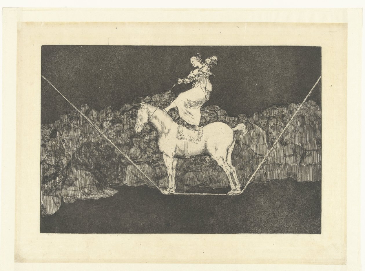 Precieze dwaasheid door Francisco de Goya