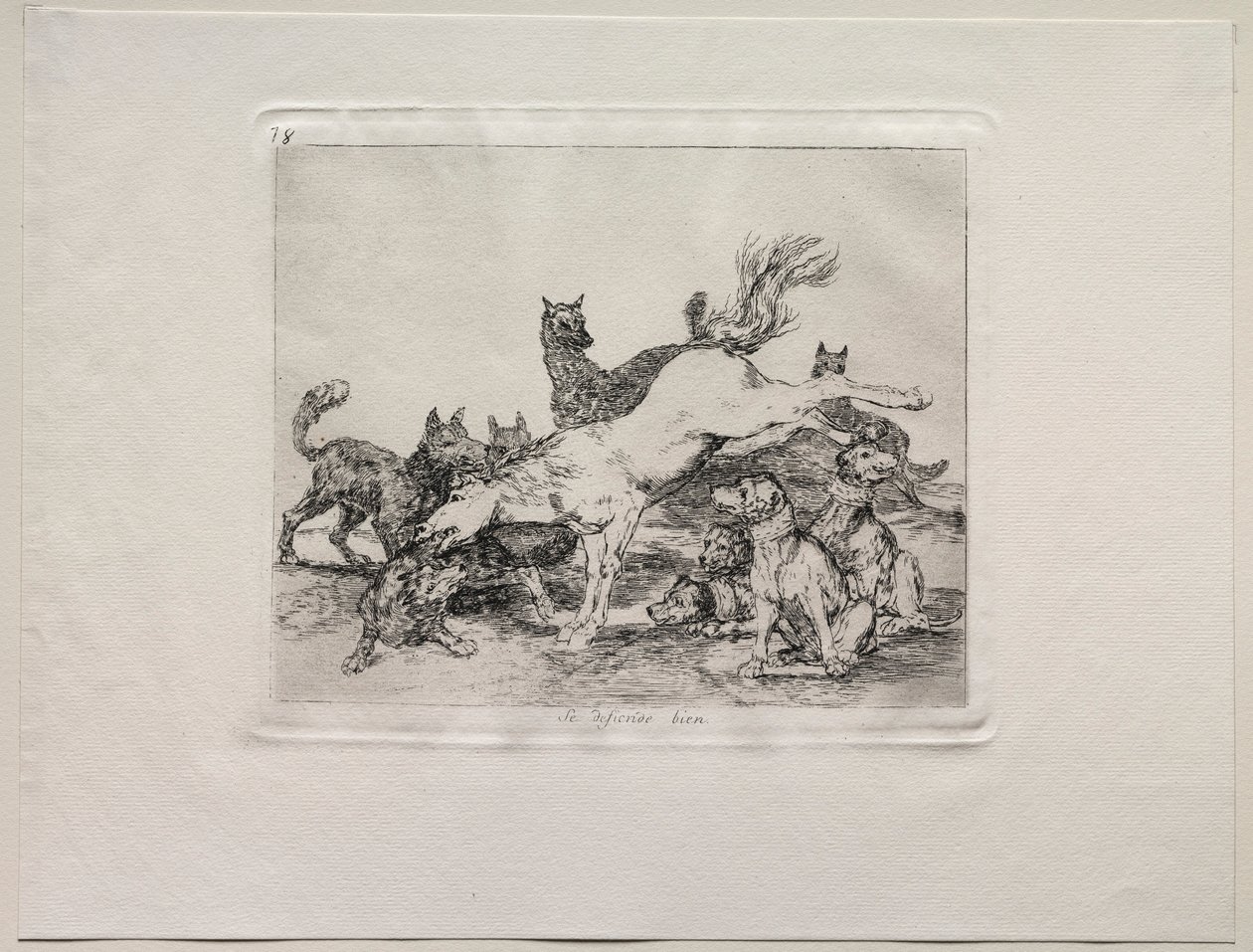 De verschrikkingen van de oorlog: Hij verdedigt zichzelf goed door Francisco de Goya