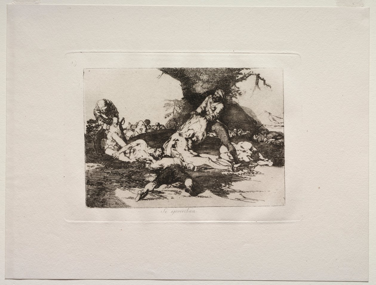 De Verschrikkingen van de Oorlog: Ze Gebruiken Hen door Francisco de Goya