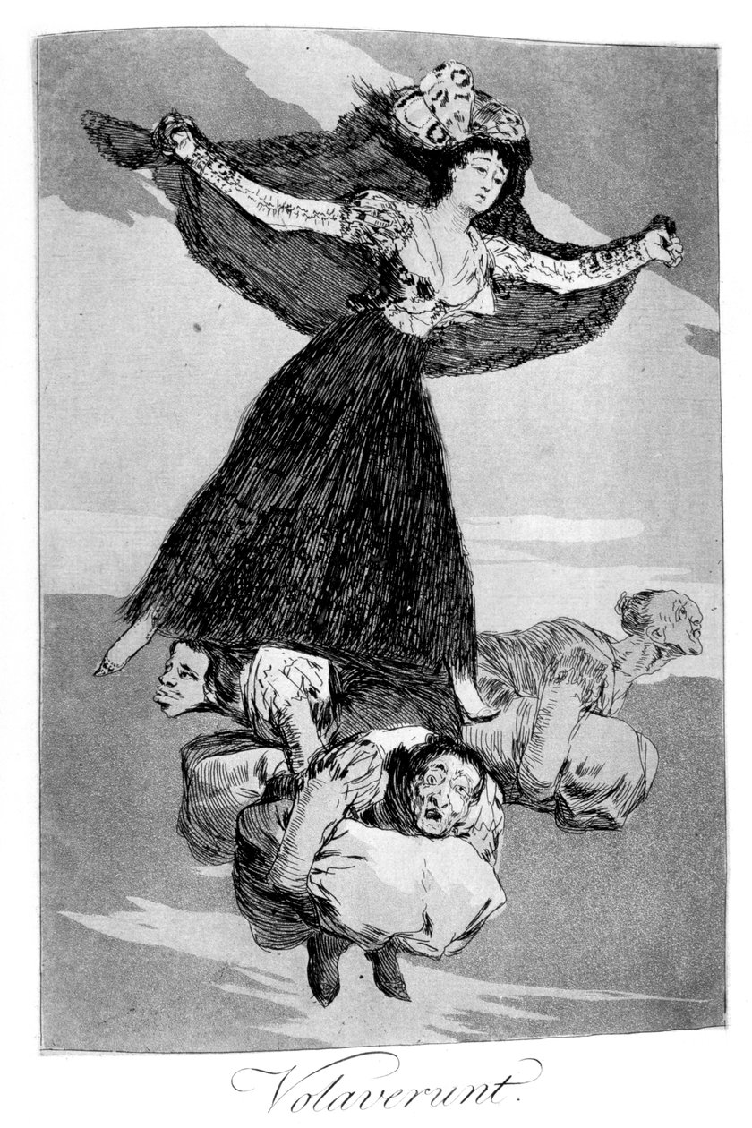 Ze zijn gevlogen door Francisco de Goya