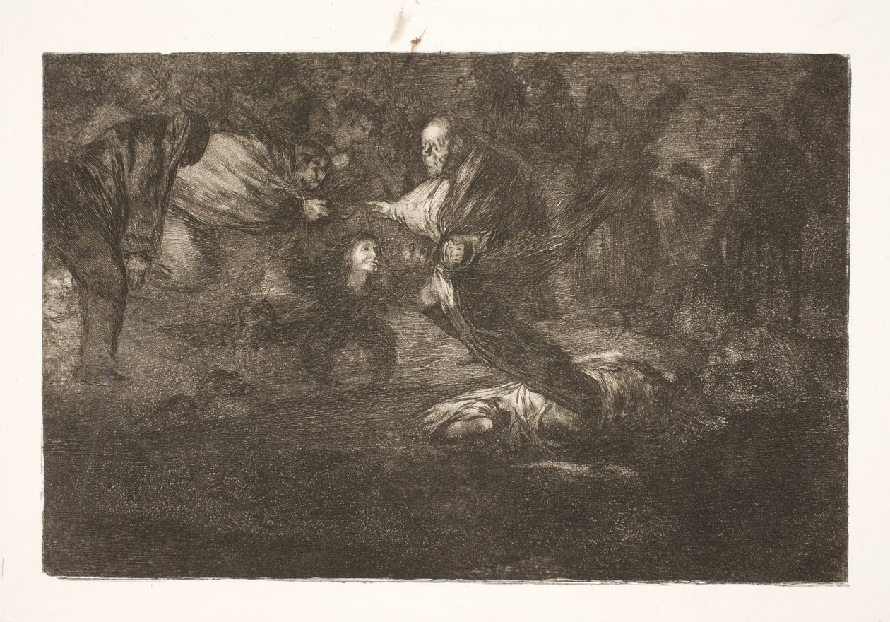 Onze Heer schept hen, en ze eindigen in mooie vereniging / Vogels van dezelfde veer vliegen samen door Francisco de Goya