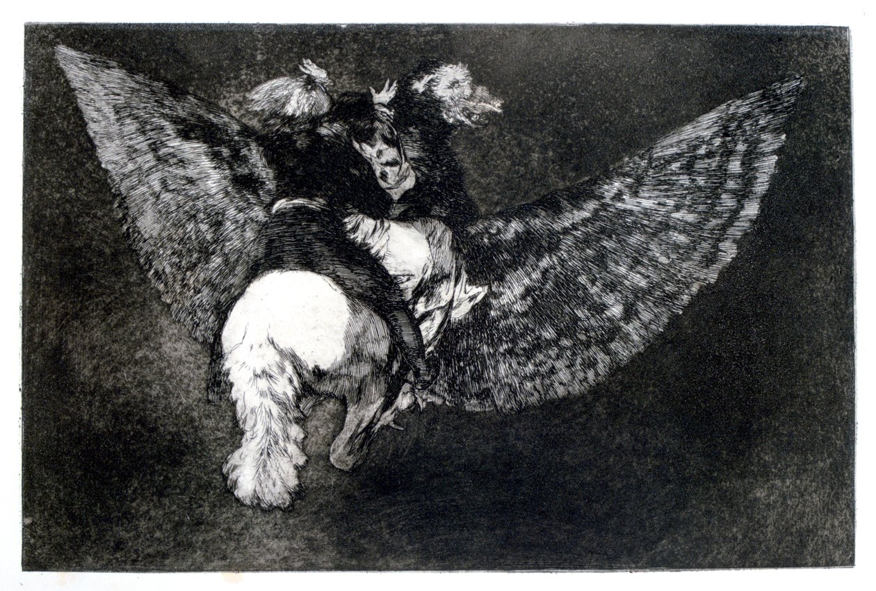 Gevleugelde Onzin door Francisco de Goya