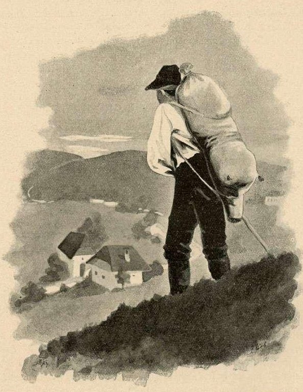 In de frambozen door Francisek Dobnikar