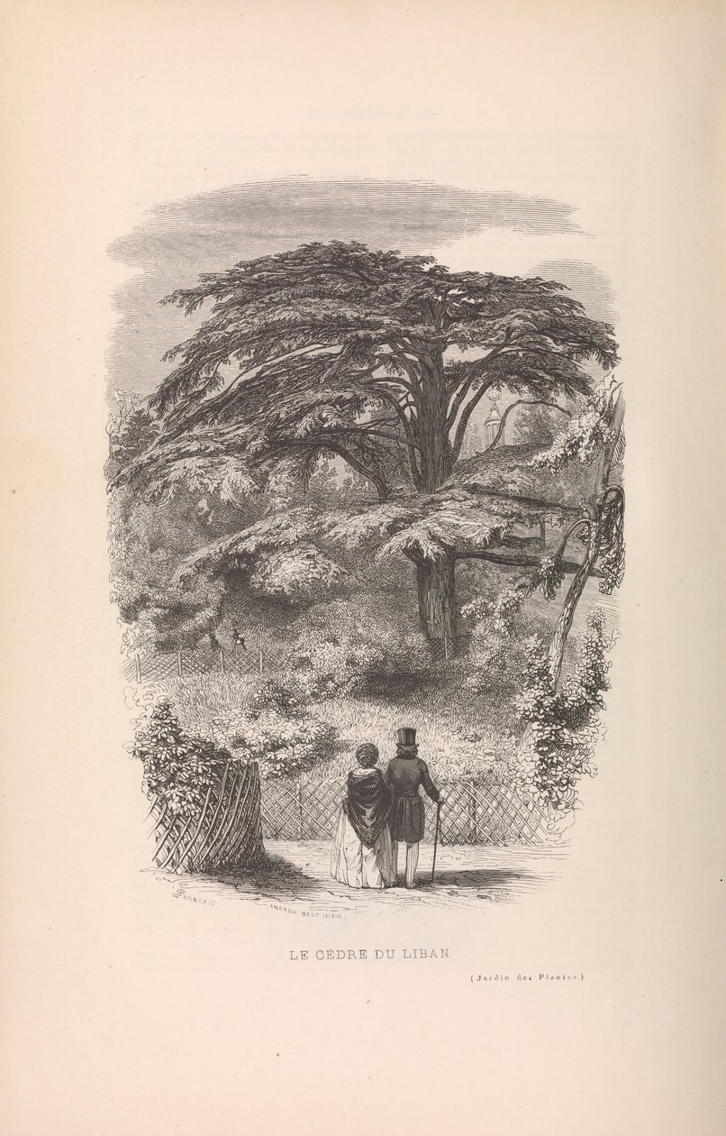 Le Jardin des Plantes, Beschrijvingen en gewoonten van de zoogdieren, 1842 door Francois Boitard
