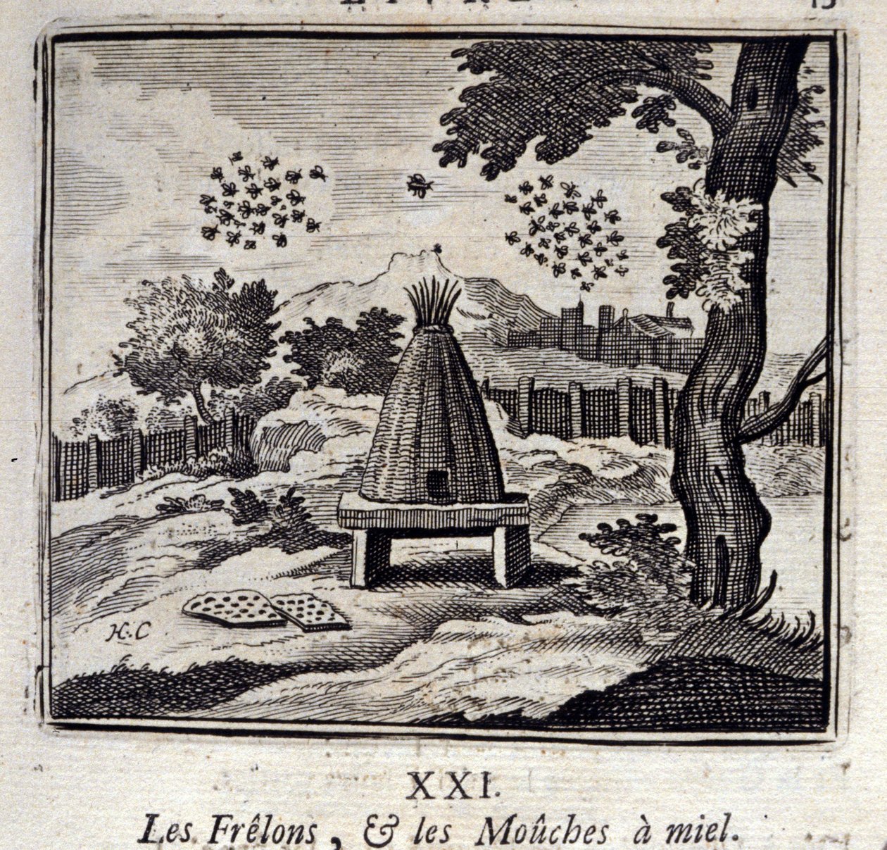 Horzel en Honingbijen door Francois Chauveau