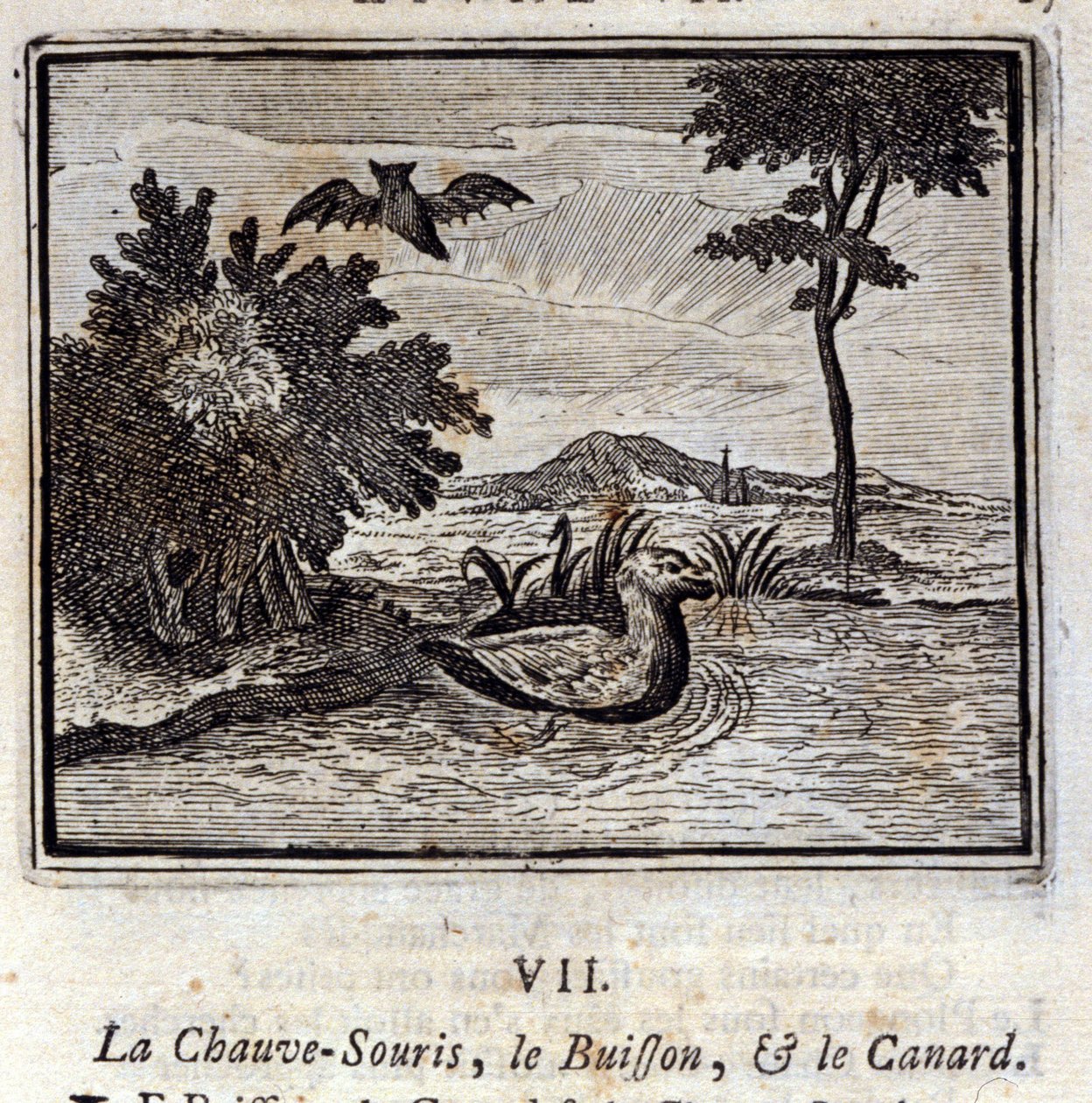 De vleermuis, de struik en de eend. Fabels van Jean de La Fontaine. Illustratie door François Chauveau. Editie van 1728. door Francois Chauveau