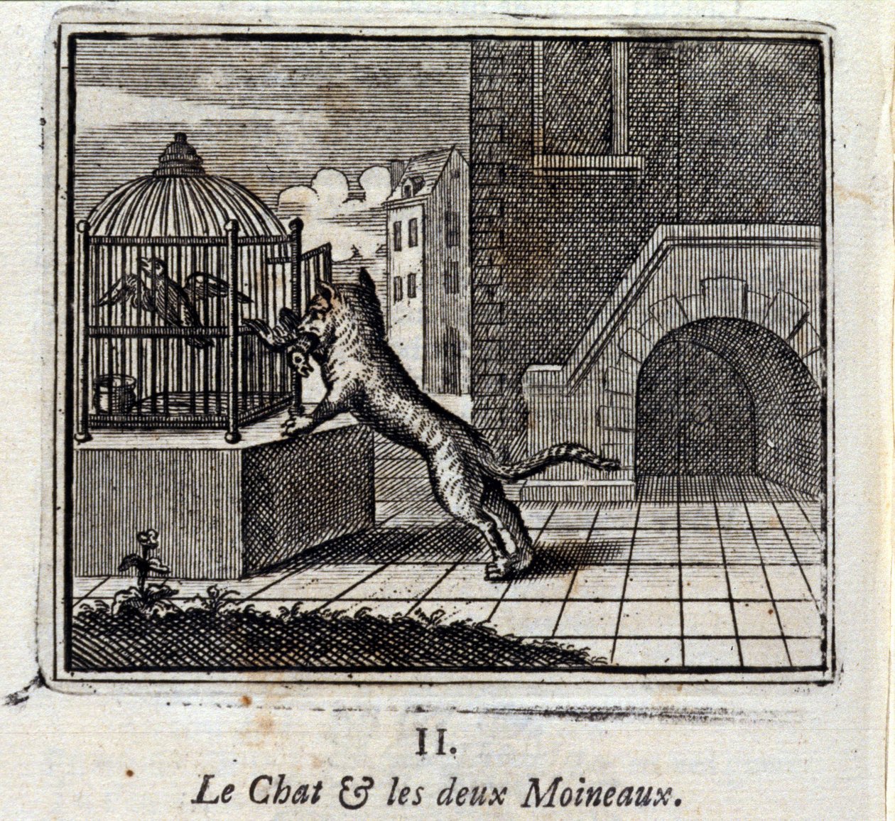De Kat en de Twee Mussen door Francois Chauveau
