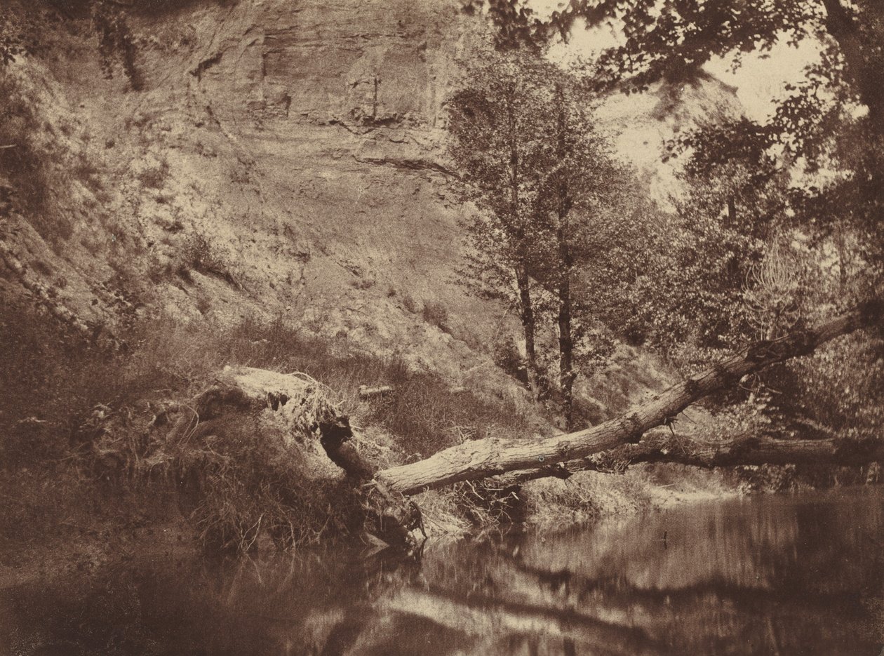 Rivieroever,ca. 1855 (foto) door Frank Chauvassaigne