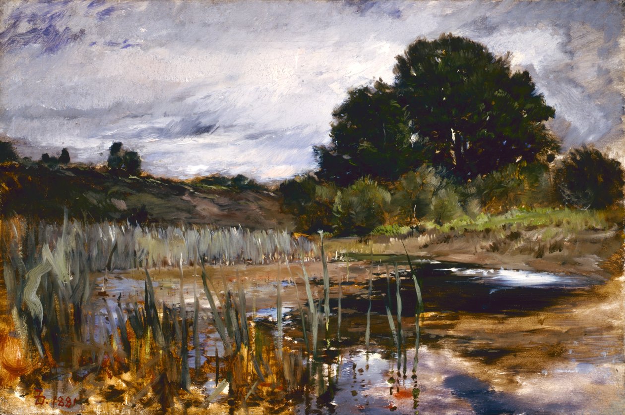 Landschap door Frank Duveneck