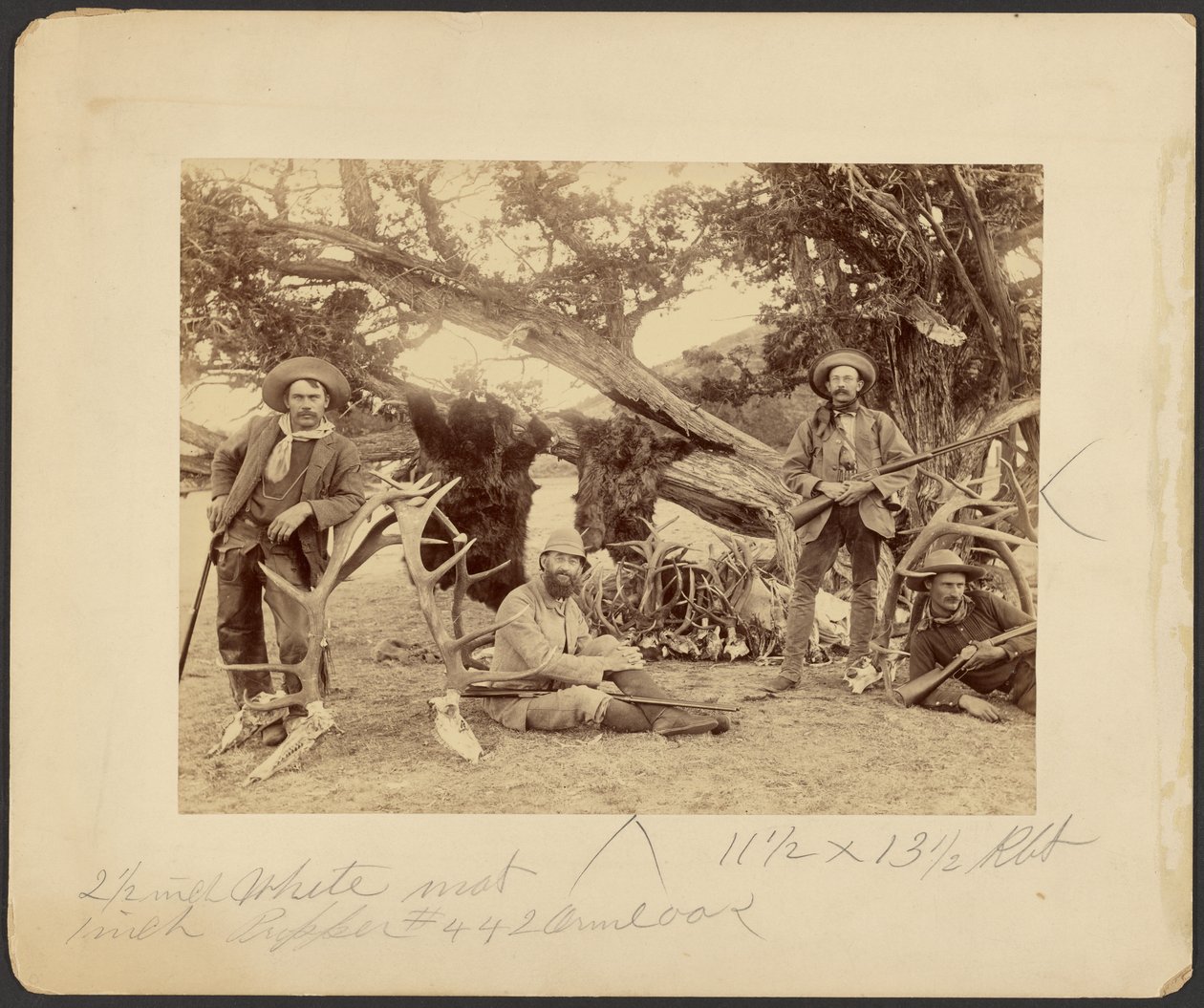 Lispenard Stewart party, #6 - 5th Ave., N.Y. met trofeeën bij oude cederboom, Mammoth Hot Springs, Yellowstone National Park door Frank Jay Haynes