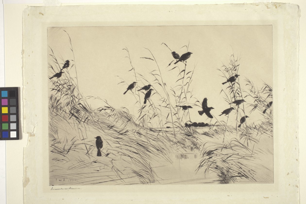 Merels en riet door Frank Weston Benson