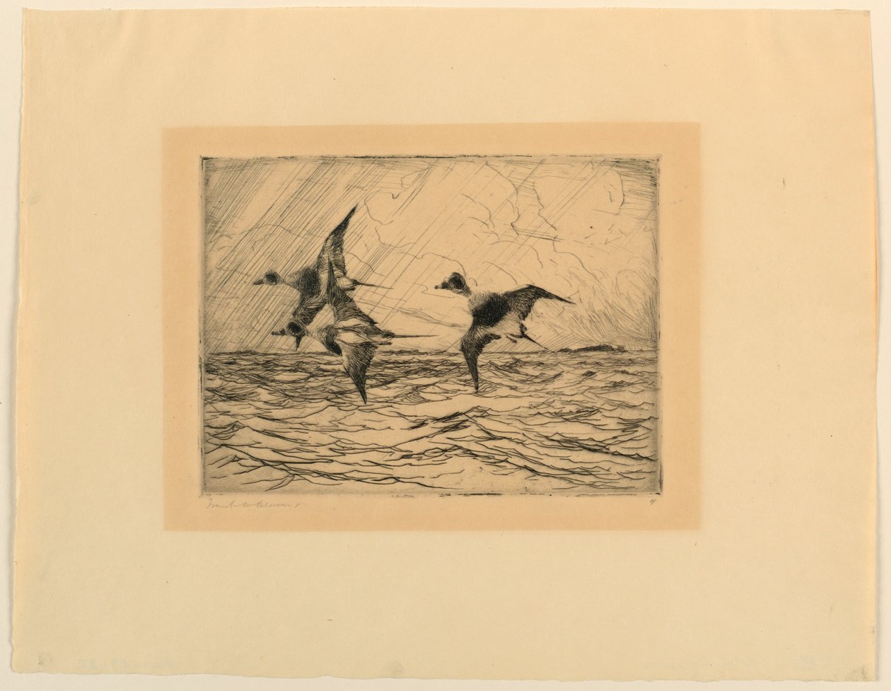 Oude eenden door Frank Weston Benson