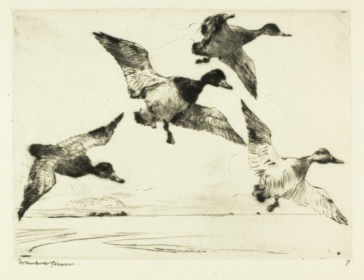Tafeleenden door Frank Weston Benson