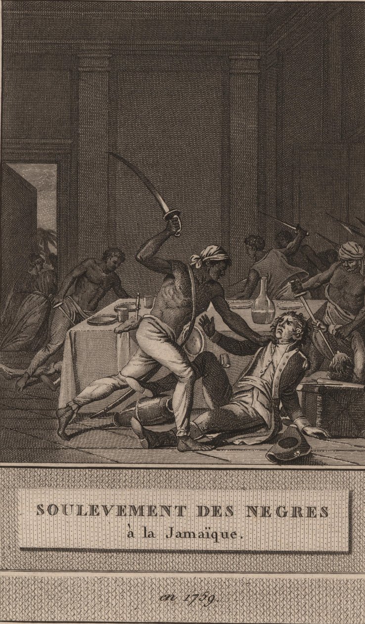 Opstand van de zwarte slaven in Jamaica in 1760 door François Anne David