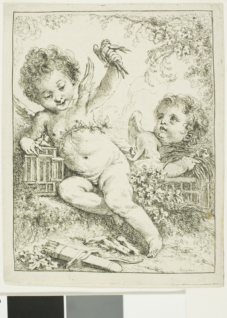 Twee Putti met een Vogel door François Boucher