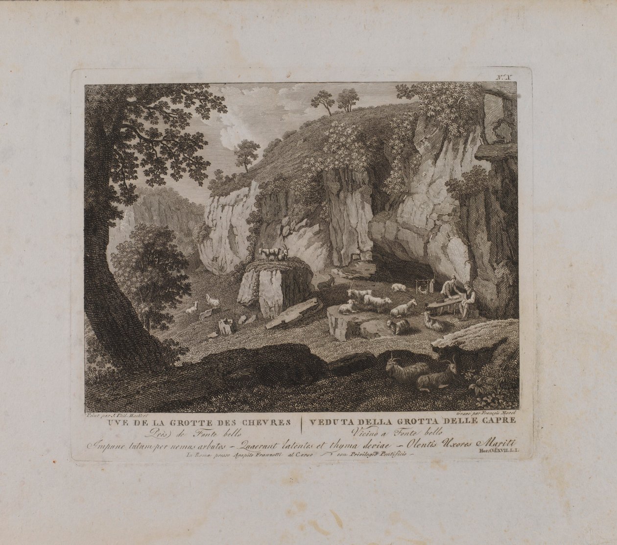 Uve (sic) van de Grotte des Chevres (nr. X) door François Morel