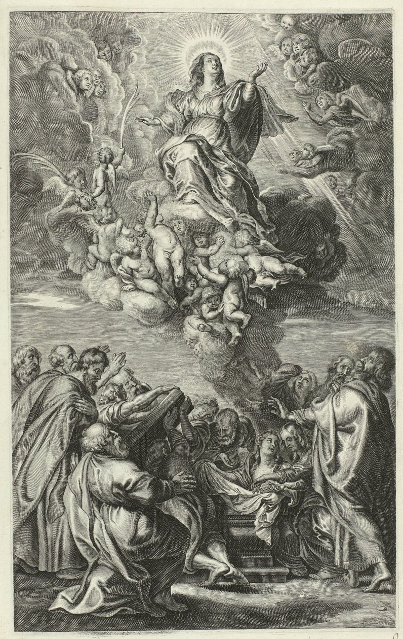 Hemelvaart van Maria door François Stuerhelt (possibly)
