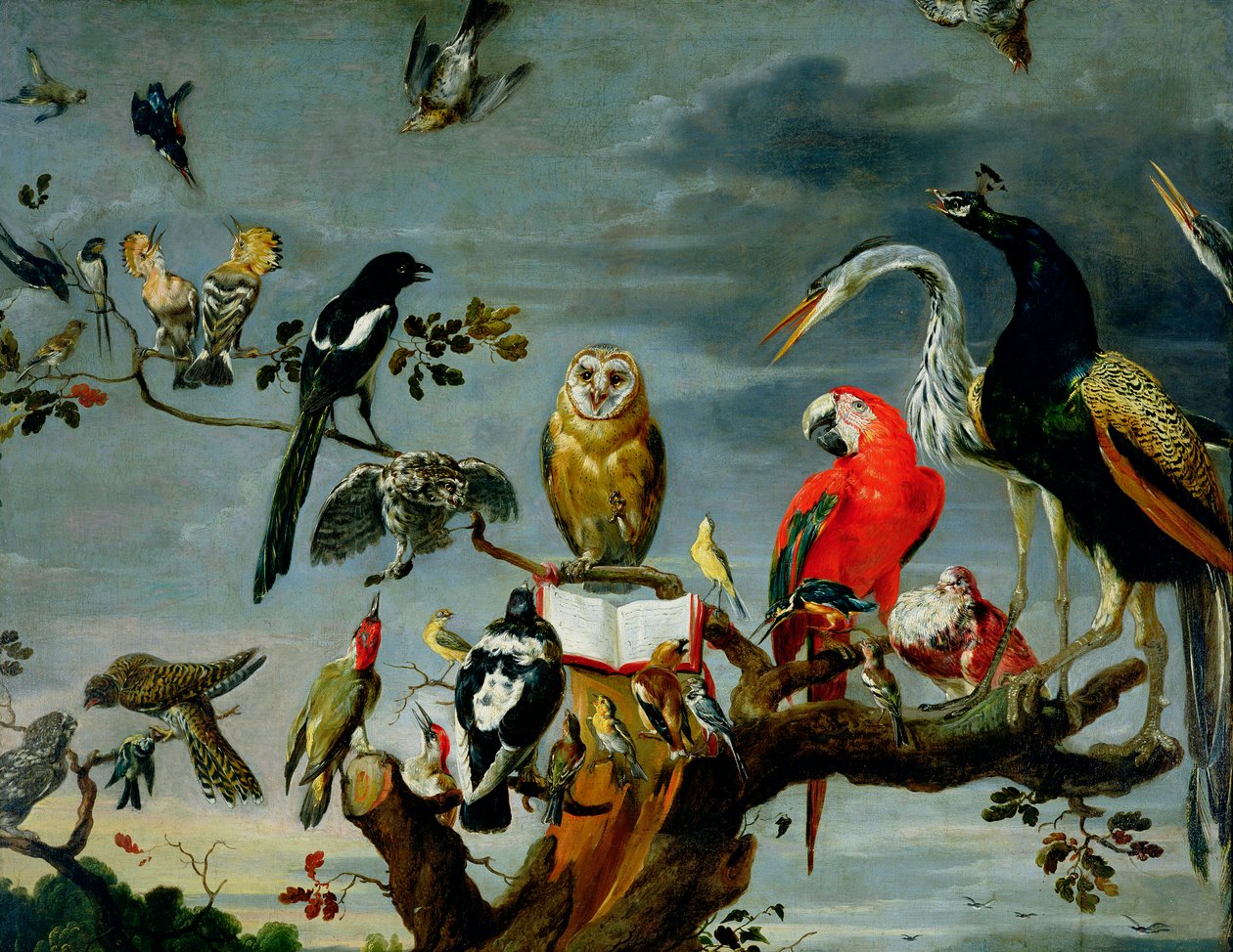 Concert van Vogels door Frans Snyders or Snijders