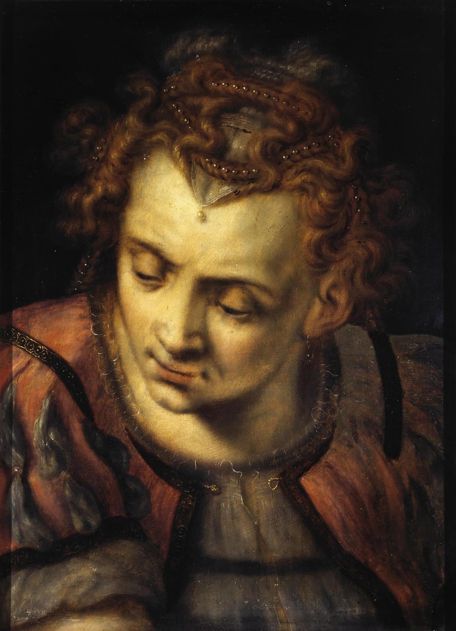 Studie van het hoofd van een vrouw door Frans Floris I