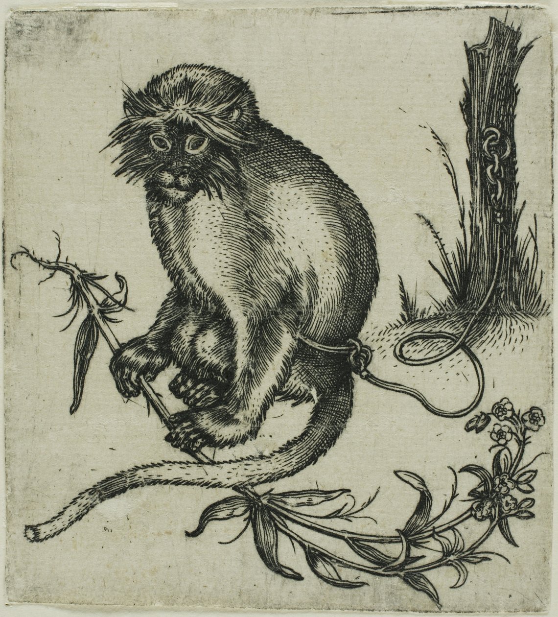 Een geketende aap door Franz Brun