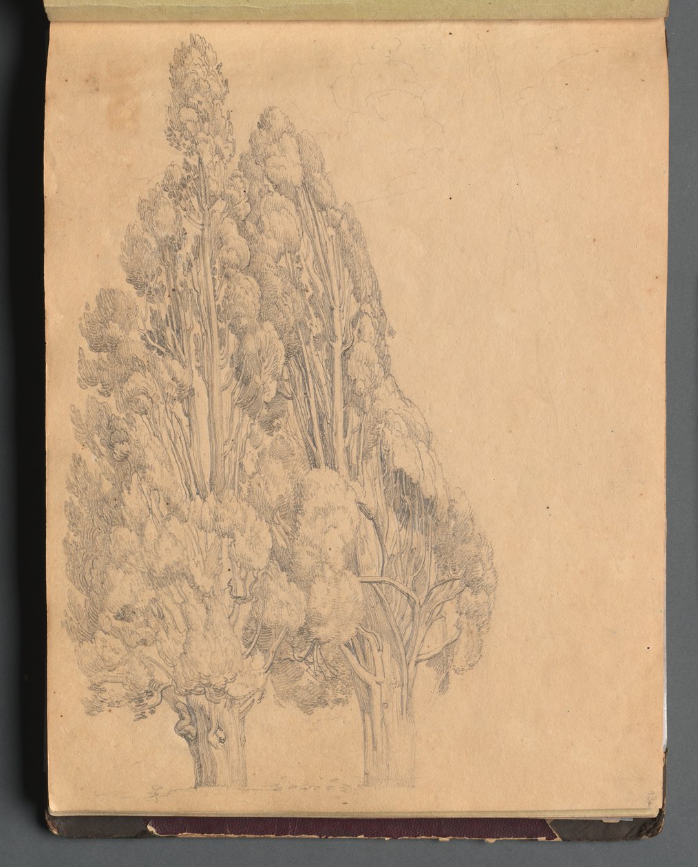 Album met Zichten van Rome en Omgeving, Landschapsstudies, pagina 13a: Bomen door Franz Johann Heinrich Nadorp