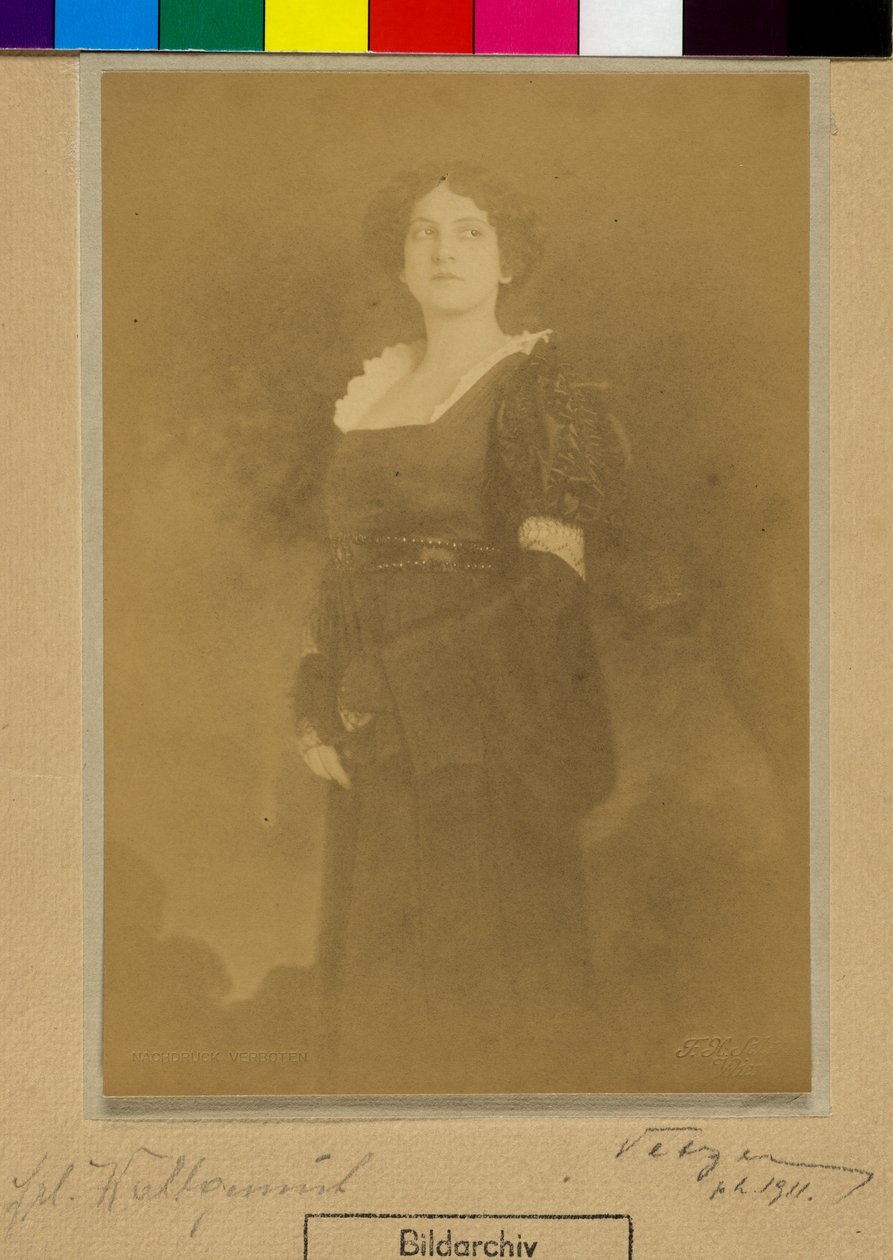 Wohlgemuth door Franz Xaver Setzer