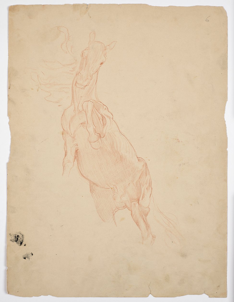 Studies van een stijgend paard door Franz von Matsch