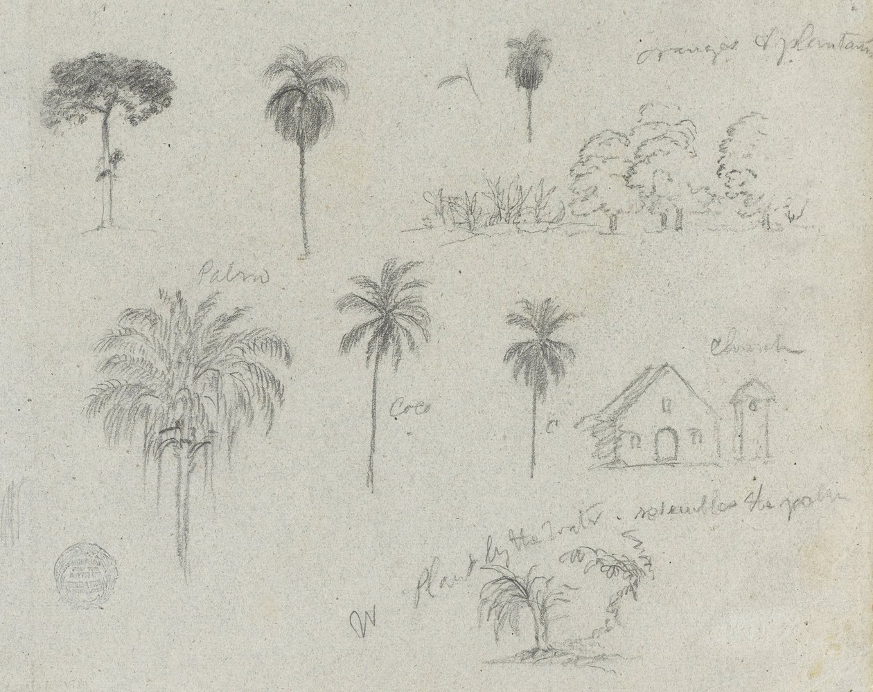 Schetsen van de Rio Magdalena, Colombia. Botanische schetsen. Een kerk. Vergelijkbaar met -103. door Frederic Edwin Church