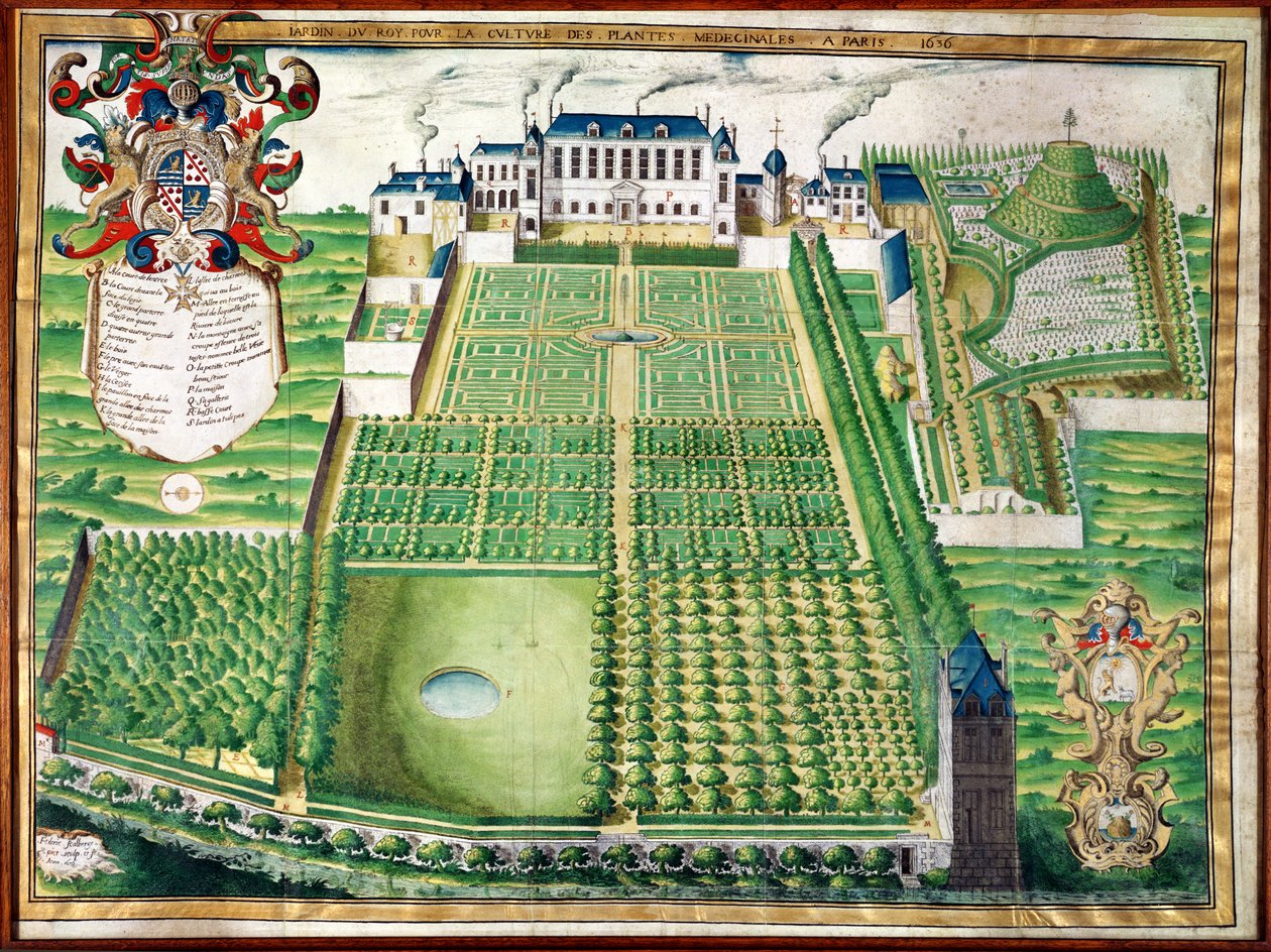 De Medicinale Plantentuin van de Koning, 1636 door Frederic Scalberge