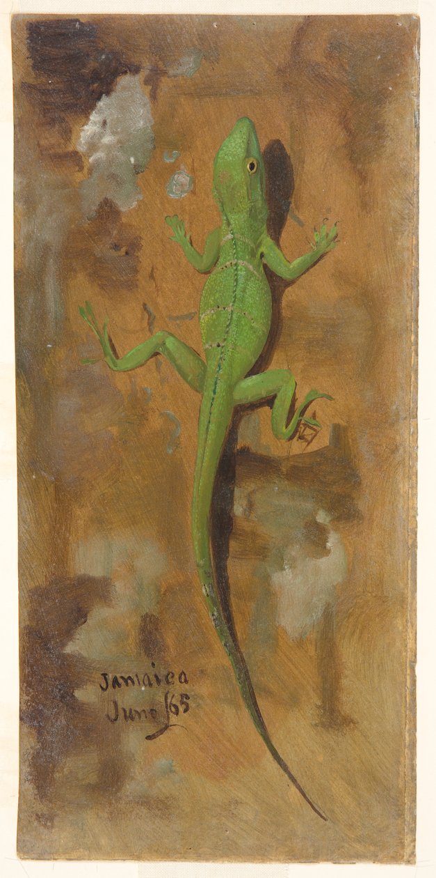 Een hagedis, Jamaica door Frederic Edwin Church