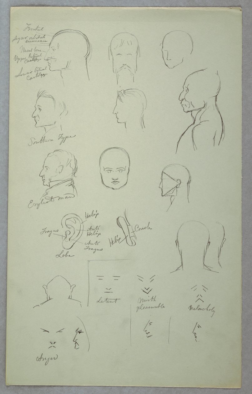 Anatomische studies door Frederic Edwin Church
