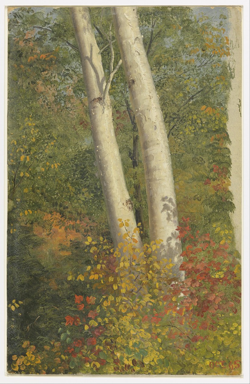 Berken in de herfst door Frederic Edwin Church