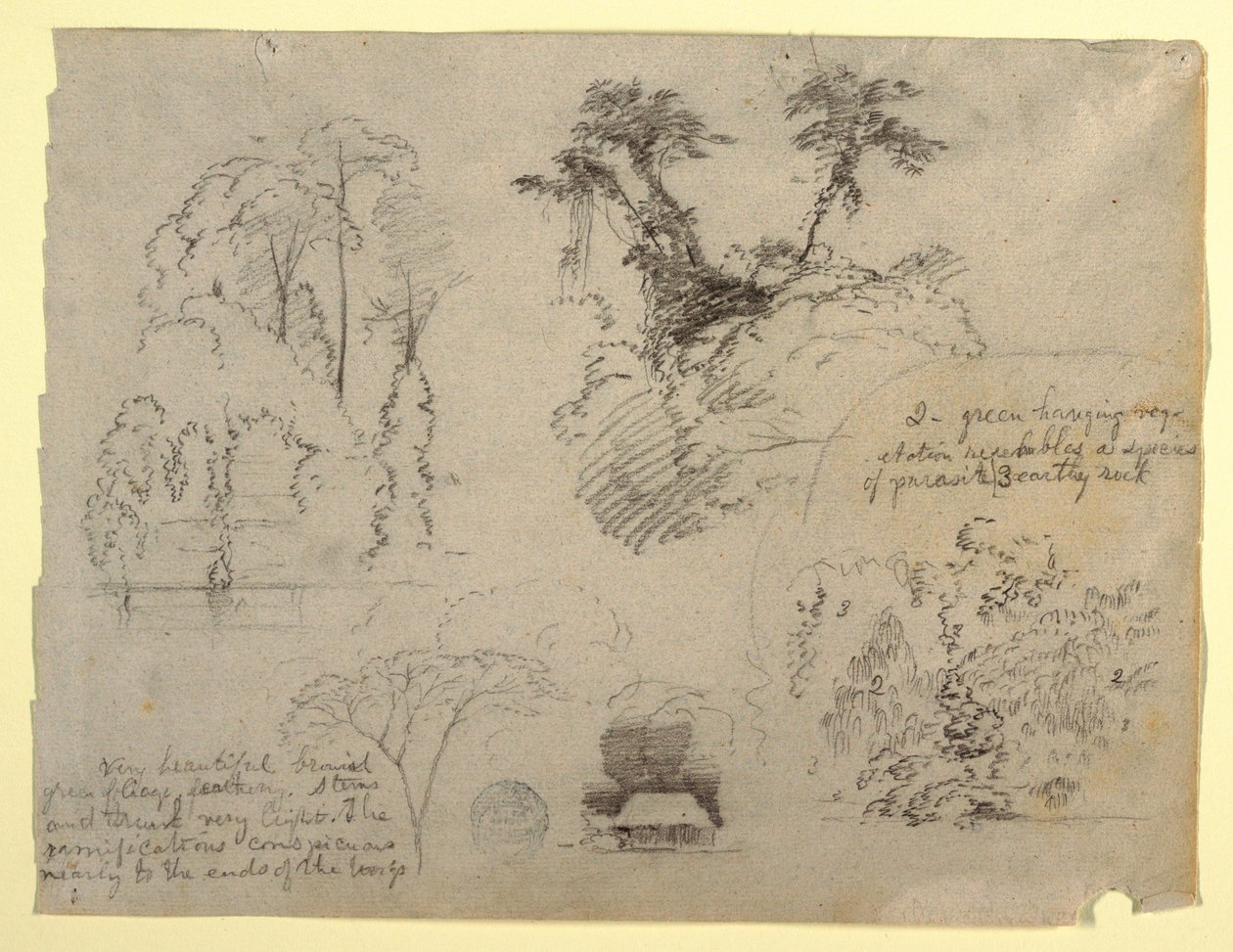 Botanische studies en een huis, waarschijnlijk uit Colombia door Frederic Edwin Church