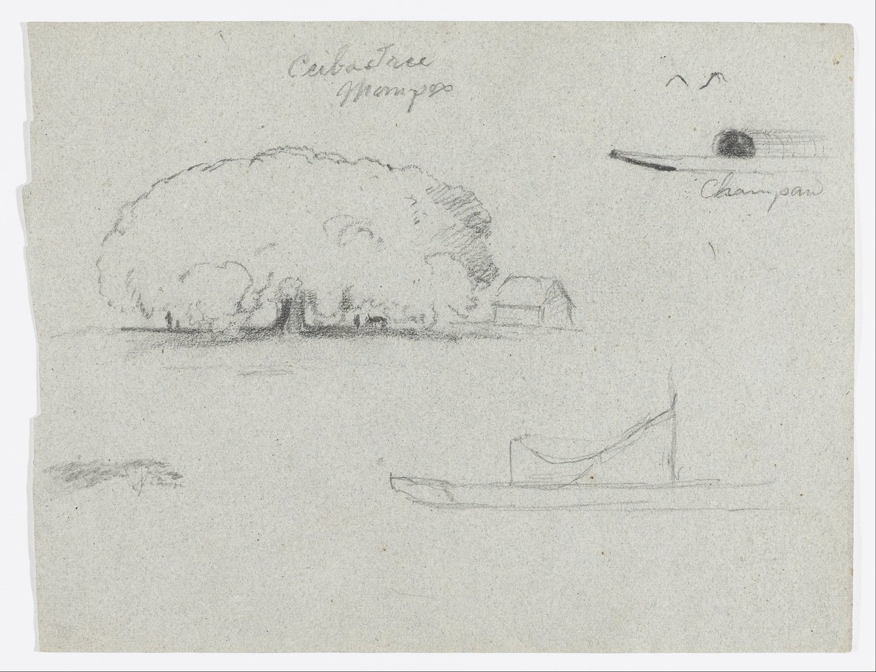 Ceiba boom bij Mompos, Champan kano, bomen en een gedeeltelijke boot, Rio Magdelena, Colombia door Frederic Edwin Church