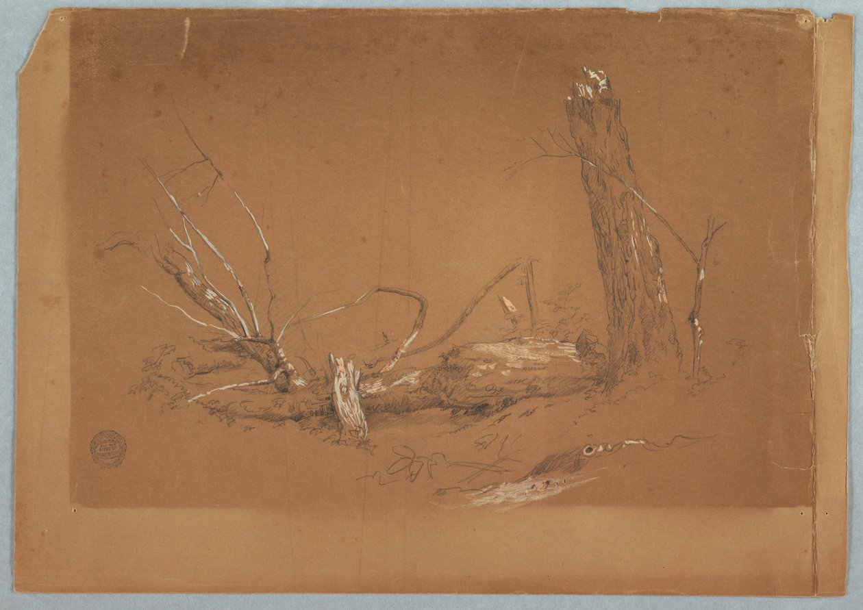 Tekening, Een gebroken dode boom, 1855-65 door Frederic Edwin Church