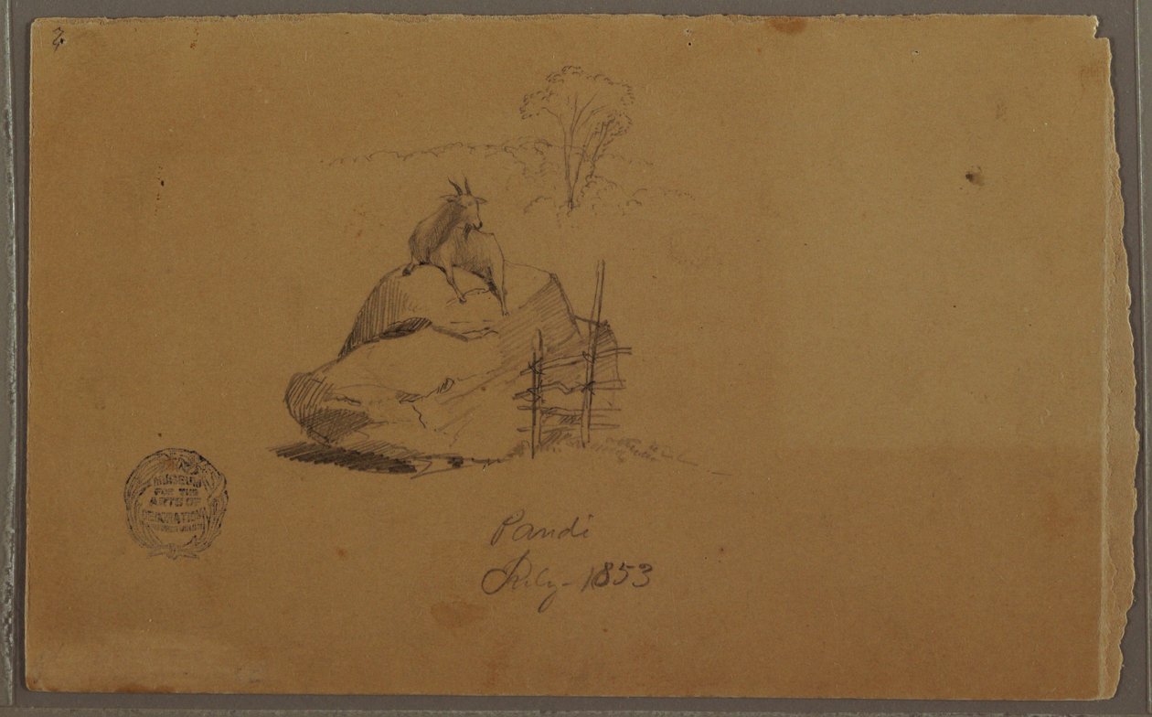 Tekening, Een geit in Pandi, Colombia, juli 1853 door Frederic Edwin Church