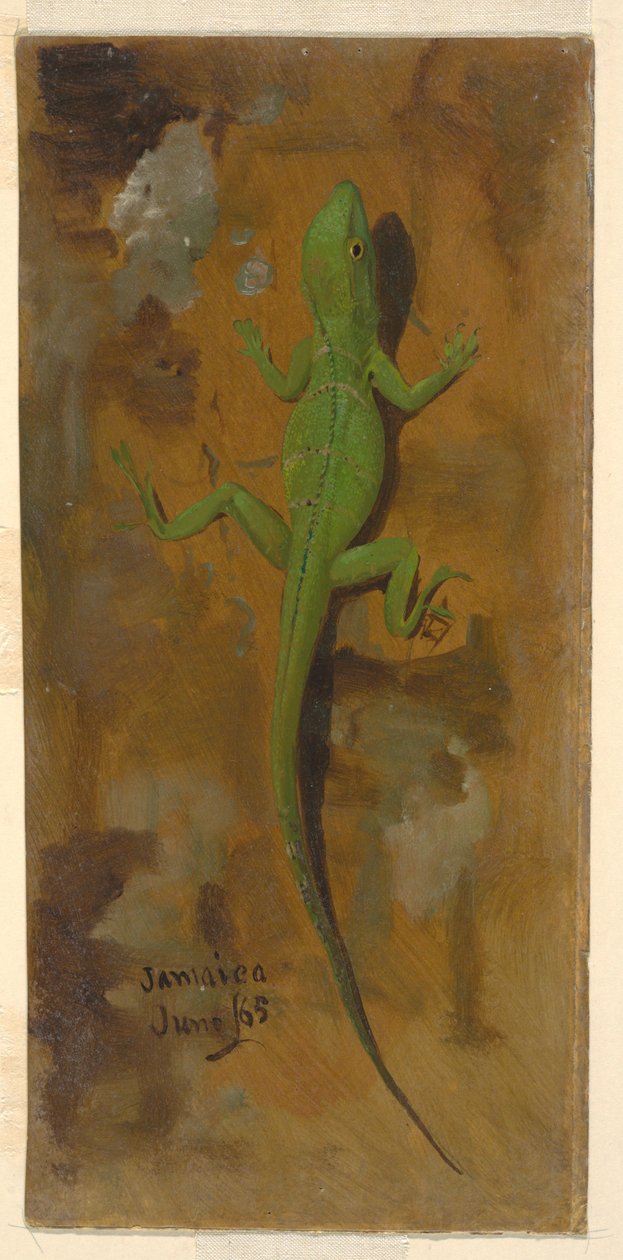 Tekening, Een hagedis, juni 1865 door Frederic Edwin Church