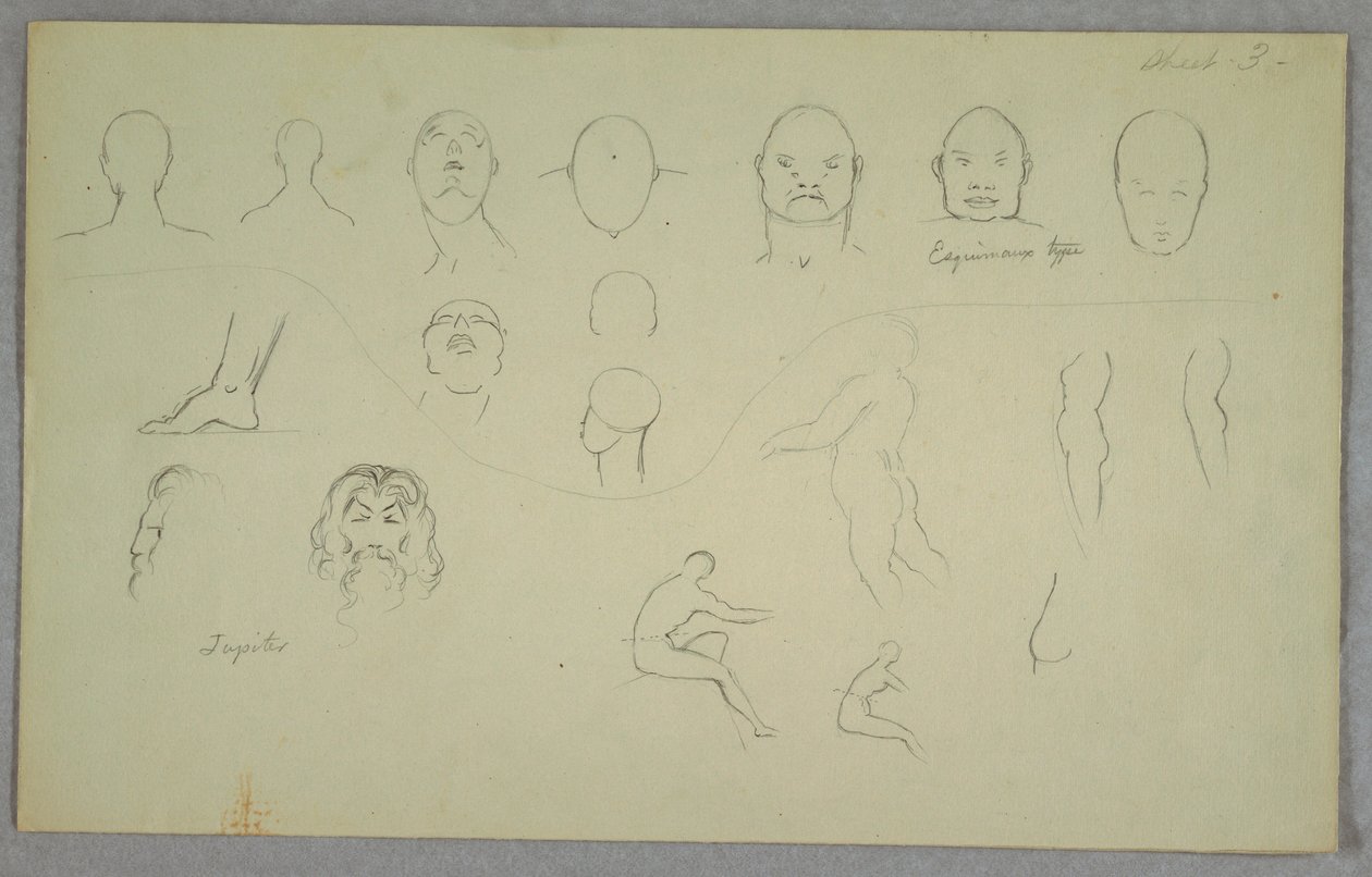 Tekening, Anatomische studies, 1865-70 door Frederic Edwin Church