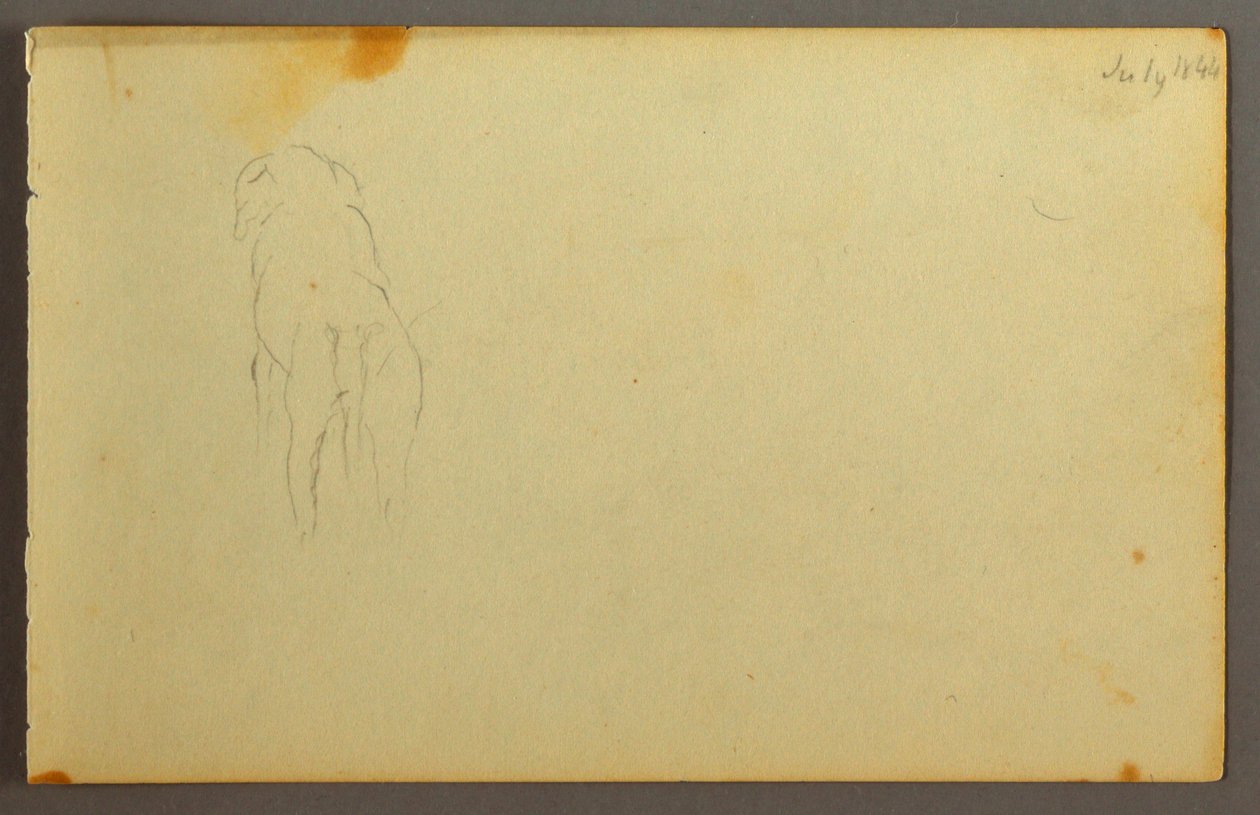 Tekening, Dier, op de rug, 1844 door Frederic Edwin Church