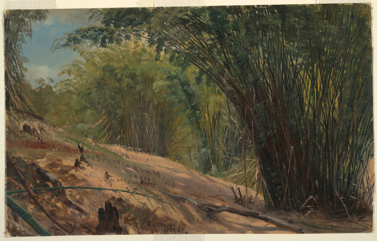 Tekening, Bamboegaard, Jamaica, 1865 door Frederic Edwin Church