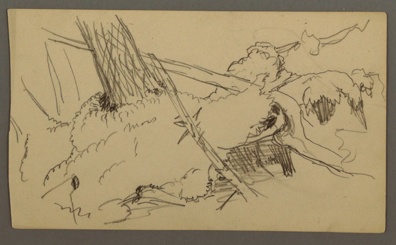 Tekening, Basis van boom, rotsblok, mogelijk 1877 door Frederic Edwin Church