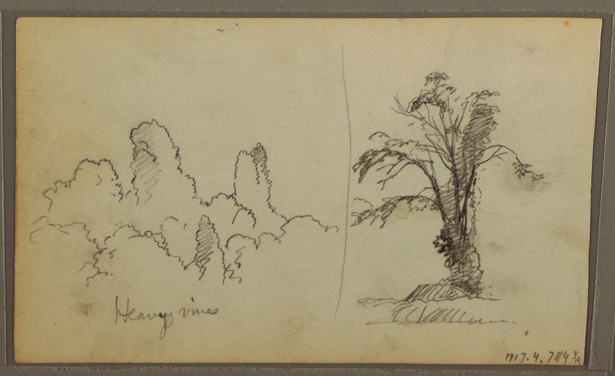 Tekening, Bireds, "Rots in Panama Bay"; Verso: "Zware wijnranken", 15 mei 1857 door Frederic Edwin Church