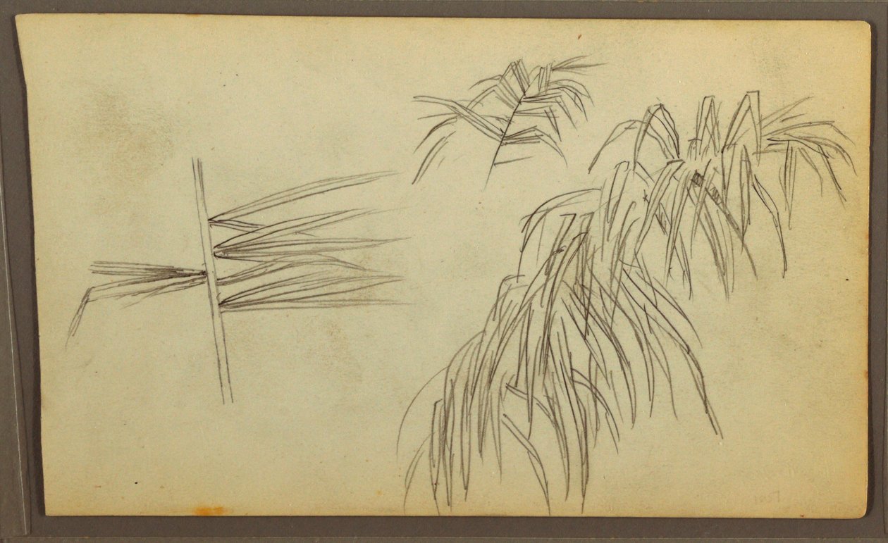Tekening, Botanische schetsen, 1857 door Frederic Edwin Church