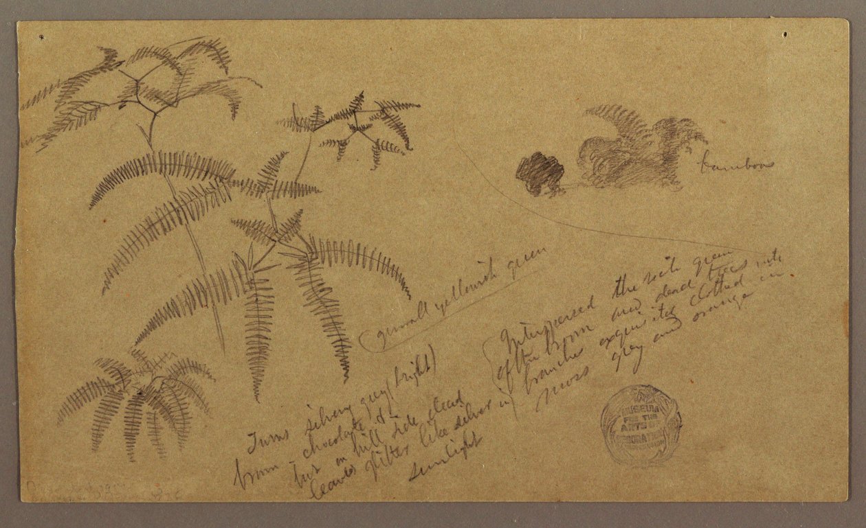Tekening, Botanische schetsen, mei-augustus 1865 door Frederic Edwin Church