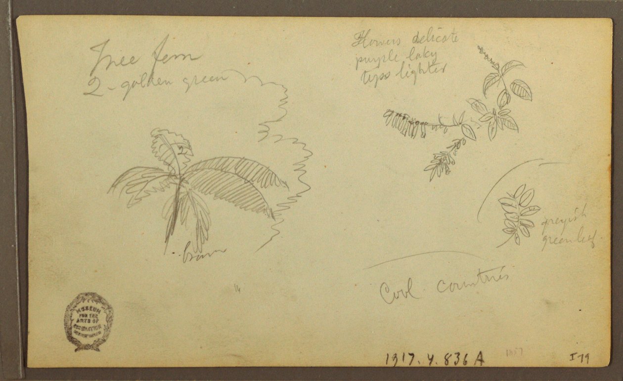 Tekening, Botanische Schetsen; Verso: Botanische Schetsen, 1857 door Frederic Edwin Church