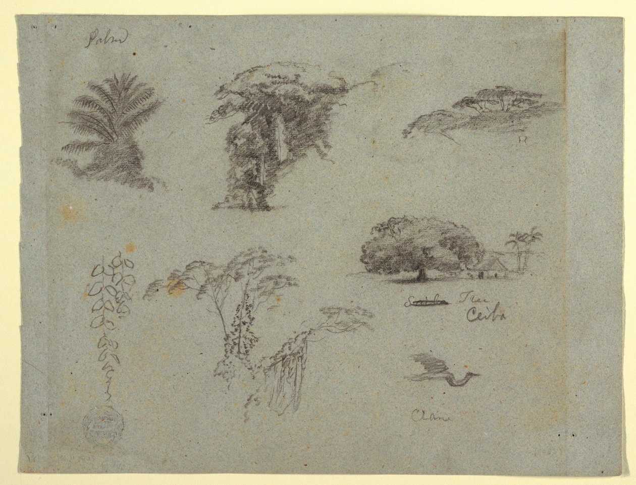 Tekening, Botanische schetsen uit Zuid-Amerika: een palm, boomgroepen, hangende twijgen, een grote boom naast een huis en een vliegende kraanvogel, 1853, waarschijnlijk mei door Frederic Edwin Church