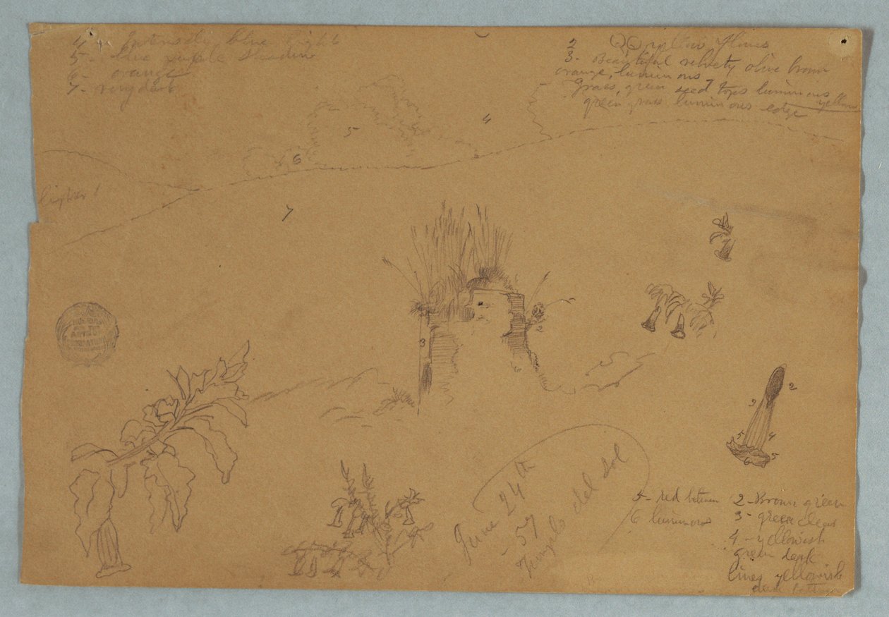 Tekening. Botanische en Wolkenschetsen nabij Quito, Ecuador door Frederic Edwin Church